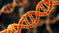 Genetik adalah Dasar Pemahaman tentang Warisan Genetik