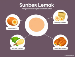 Lemak Adalah: Panduan Pemula Lengkap tentang Nutrisi Penting Lemak Adalah: Panduan Pemula Lengkap tentang Nutrisi Penting