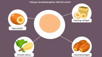 Lemak Adalah: Panduan Pemula Lengkap tentang Nutrisi Penting