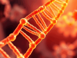 Memahami RNA adalah: Troubleshooting dan Solusi Umum Memahami RNA adalah: Troubleshooting dan Solusi Umum
